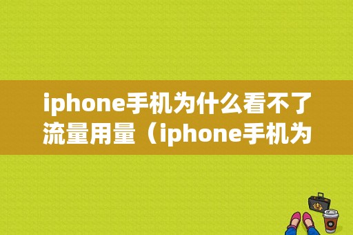 iphone手机为什么看不了流量用量（iphone手机为什么看不了流量用量数据）