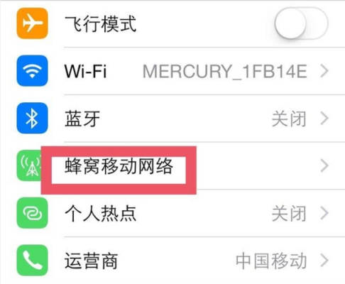 iphone手机为什么不能用流量（苹果手机为什么不能用流量了?）