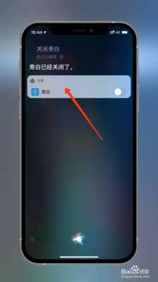 iphone手机的旁白是什么（苹果手机中的旁白是什么）