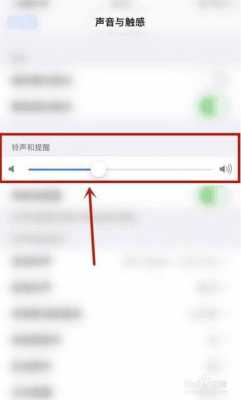 iphone手机没声音是什么问题（苹果手机没有声音是怎么回事?）