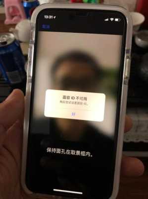 iphone手机没有面容是什么意思（iphone手机没有面容是什么意思啊）