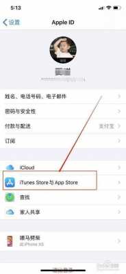 iphone手机的id是什么意思啊（手机苹果id是什么意思）