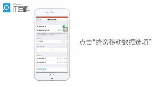 iphone手机的蜂窝数据为什么上不了网（iphone手机的蜂窝数据为什么上不了网络）