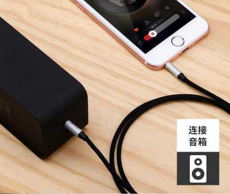 iphone手机采用的是什么音响（iphone手机采用的是什么音响接口）