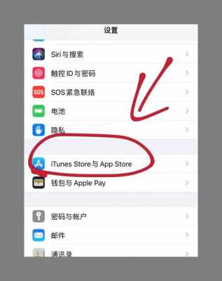 iphone手机设置密码是什么意思（iphone设置密码与账户是什么）