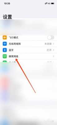 iphone手机数据漫游是什么意思啊（iphone数据漫游是啥意思）