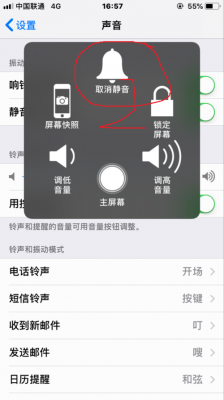 iphone为什么手机来电没有铃声了（iphone来电没铃声怎么回事）