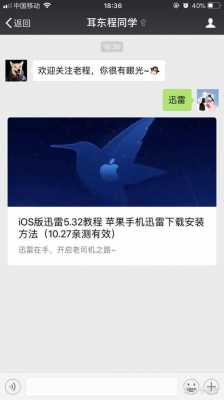 iphone手机为什么用不了迅雷下载（iphone手机为什么用不了迅雷下载的视频）