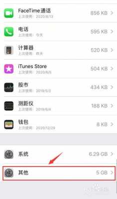 iphone手机的内存其他是什么（苹果手机里的内存的其他是什么意思）