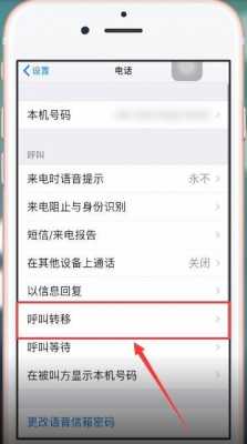 iphone手机为什么电话暂时无法接通（iphone手机为什么电话打不进来）