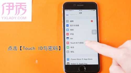 iphone手机为什么无法读取此指纹（苹果手机无法读取此指纹请再试一次怎么办）