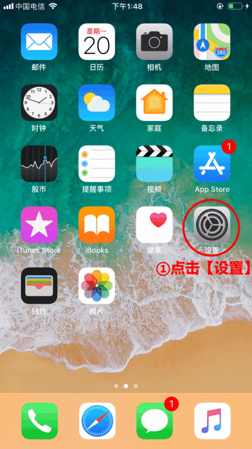 iphone手机怎么看使用什么软件（iphone手机怎么看使用什么软件下载的）