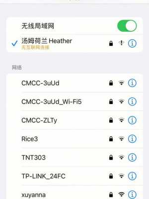 为什么iphone手机连不上无线网（为什么iphone手机连不上wifi）