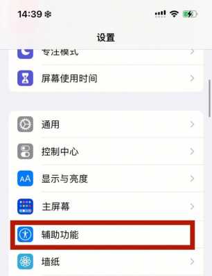 iphone手机引导式访问是什么意思（苹果手机上的引导式访问是什么）