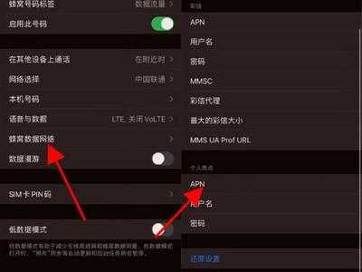 iphone手机apn是什么（iphone手机apn设置在哪）