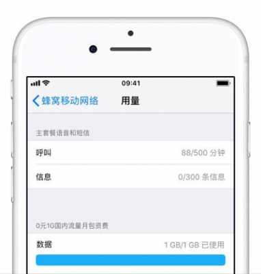 iphone手机用什么看流量吗（苹果手机用什么看流量使用情况）