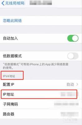 iphone手机ip大概是什么（苹果的ip是什么）