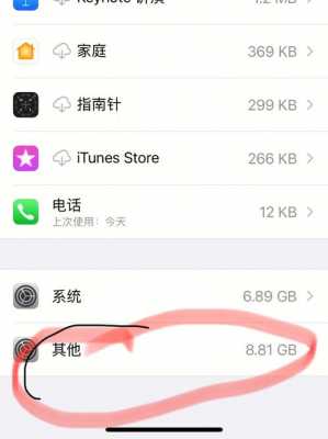 iphone手机储存其他是什么东西吗（苹果手机存储里面的其他到底是什么东西）