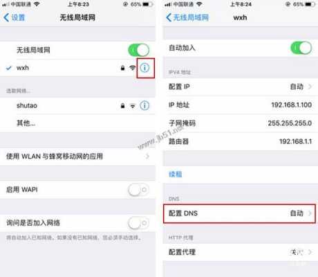 iphone手机dns是什么情况（苹果手机dns异常怎么修复手机）