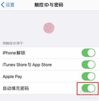 iphone手机自动填充密码什么意思（iphone自动填充密码安全吗）