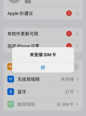 为什么iphone手机卡开不了网络（苹果手机有卡开不了数据）