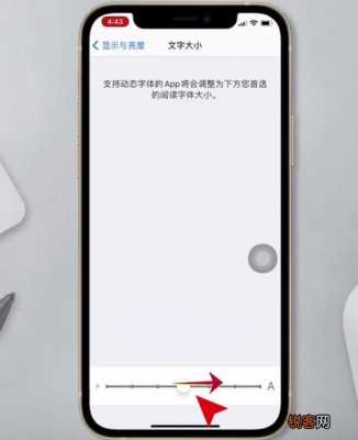 iphone手机为什么字体不能设置了（iphone设置不了字体大小）