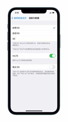 iphone12手机里的蜂窝网是什么网（苹果12的蜂窝网络）