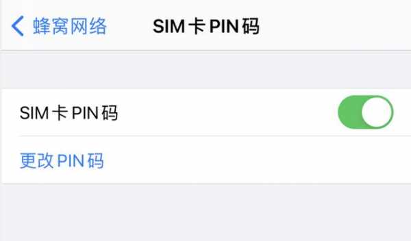 iphone手机pin码是什么意思（苹果手机pin码是啥）