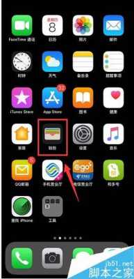 iphone手机主页下面的一行叫什么（苹果手机主页下面有个框怎么去掉）