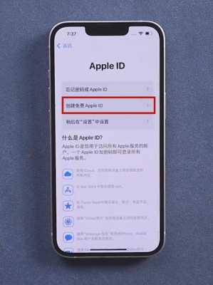 iphone手机id什么意思是什么（苹果手机id是什么意思代表什么）