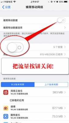 iPhone手机为什么要限制流量（为什么苹果限制流量解除了还是下的好慢）