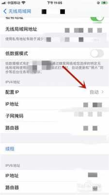 iphone手机ip什么意思（苹果手机ip地址是什么意思）